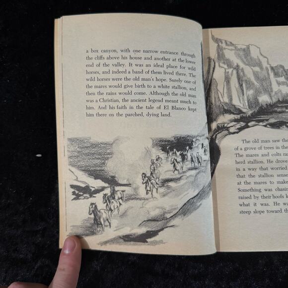 El Blanco - The Legend of the White Stallion by Rutherford Montgomery | 1972 - Picture 7 of 10